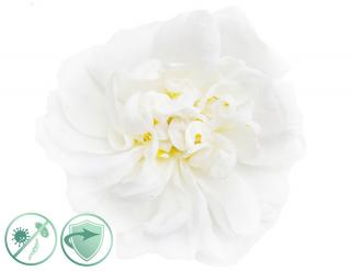 White Flower dezinfekčný aroma olej 0,5 l