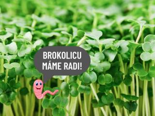 Brokolica Bio hmotnosť: 50g