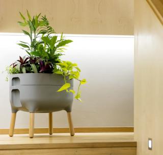 Kvetináč do interiéru Urbalive - nízky Farba kompostéra: Sivá