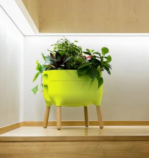 Kvetináč do interiéru Urbalive - nízky Farba kompostéra: Žlto-zelená