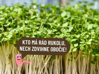 Rukola Bio hmotnosť: 200g