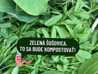 Zelená šošovica Bio hmotnosť: 25g