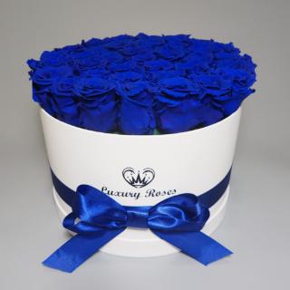Luxusný okrúhly biely box L s trvácnymi modrými ružami