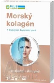 PLUS LEKÁREŇ Morský kolagén + kyselina haylurónová