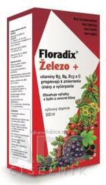 SALUS Floradix Železo +