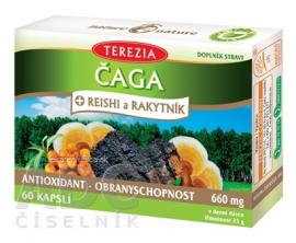 TEREZIA ČAGA + REISHI a RAKYTNÍK