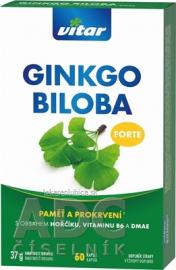 VITAR GINKGO BILOBA FORTE