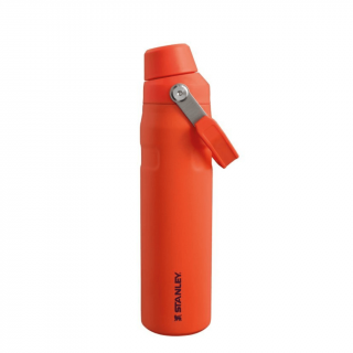 Nerezová fľaša STANLEY The Aerolight™ IceFlow™ Water Bottle Fast Flow - Tigerlily 600 ml