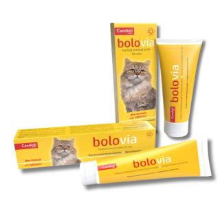 Candioli BoloVia Cats Pasta 50 g