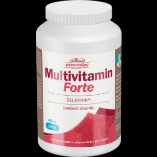 Vitar Veterinae Multivitamín Forte 40 ks 140 g