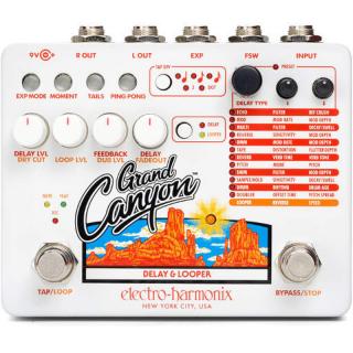 Electro Harmonix Grand Canyon (Delay a looper)