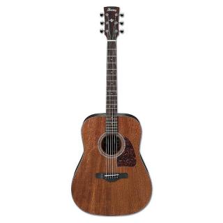 Ibanez AW54 OPN (Akustická gitara)
