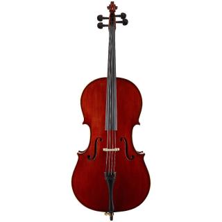 Soundsation VPCE-SV12 (1/2 violončelo)