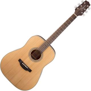 Takamine GD20 Natural Satin (Akustická gitara typu Dreadnought)