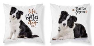 DETEXPOL Obliečka na vankúšik Border kólia  Polyester, 40/40 cm