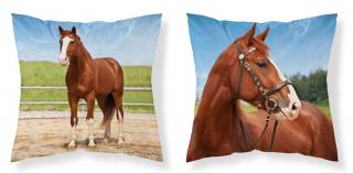 DETEXPOL Obliečka na vankúšik Kôň v ohrade  Polyester, 40/40 cm