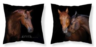 DETEXPOL Obliečka na vankúšik Koně Live  Polyester, 40/40 cm