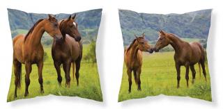 DETEXPOL Obliečka na vankúšik Kone na lúke  Polyester, 40/40 cm