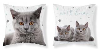 DETEXPOL Obliečka na vankúšik Mačka grey  Polyester, 40/40 cm