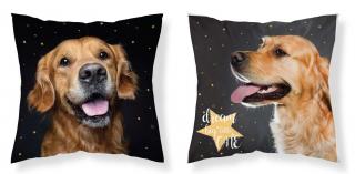 DETEXPOL Obliečka na vankúšik Pes hviezdy  Polyester, 40/40 cm