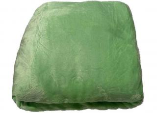 JERRY FABRICS Mikroplyšová plachta pastelovo zelená  Polyester, 180/200 cm