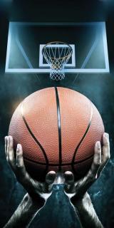 JERRY FABRICS Osuška Basketball Bavlna Froté 70/140 cm