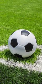 JERRY FABRICS Osuška Futbal Bavlna Froté, 70/140 cm