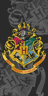 JERRY FABRICS Osuška Harry Potter sivá Bavlna Froté, 70/140 cm