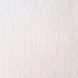 Polášek Plachta mikroplyš biela 90/200 cm