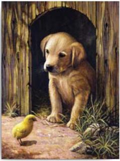 Kreatívny set na maľovanie - Šteniatko labradora   (sada na maľovanie podľa čísel Royal &amp; Langnickel)