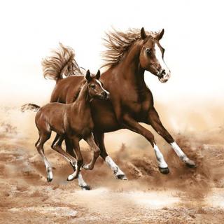 Servítky na dekupáž Horses - 1 ks