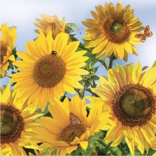Servítky na dekupáž Sunflowers in the Sky - 1 ks