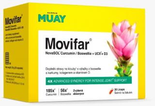 Namman Muay Movifar