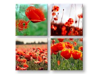 Obraz na stenu Meadow of poppy poppies 4 dielny XOBKOL17E42 (Od 50€ Kuriér ZDARMA)