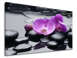 Obraz na stenu Zľava -15% FENG SHUI FS011E11 (Od 50€ Kuriér ZDARMA)