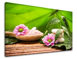 Obraz na stenu Zľava -15% FENG SHUI FS021E11 (Od 50€ Kuriér ZDARMA)