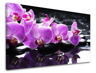 Obraz na stenu Zľava -15% FENG SHUI FS024E11 (Od 50€ Kuriér ZDARMA)