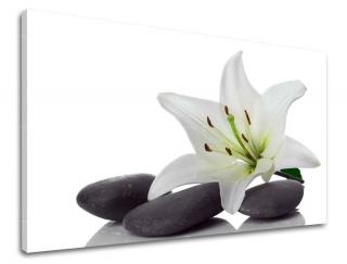 Obraz na stenu Zľava -15% FENG SHUI FS029E11 (Od 50€ Kuriér ZDARMA)