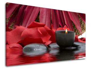 Obraz na stenu Zľava -15% FENG SHUI FS040E11 (Od 50€ Kuriér ZDARMA)