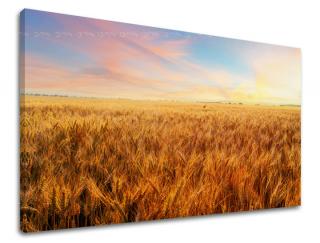 Obraz na stenu Zľava -15% KRAJINA KR008E11 (Od 50€ Kuriér ZDARMA)