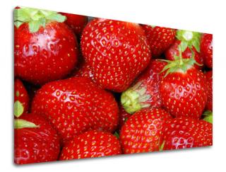 Obraz na stenu Zľava -15% KUCHYŇA KU045E11 (Od 50€ Kuriér ZDARMA)