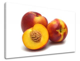 Obraz na stenu Zľava -15% KUCHYŇA KU047E11 (Od 50€ Kuriér ZDARMA)