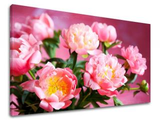 Obraz na stenu Zľava -15% KVETY KV013E11 (Od 50€ Kuriér ZDARMA)