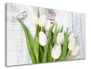 Obraz na stenu Zľava -15% KVETY KV036E11 (Od 50€ Kuriér ZDARMA)