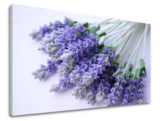 Obraz na stenu Zľava -15% KVETY XOBKV122E11 (Od 50€ Kuriér ZDARMA)