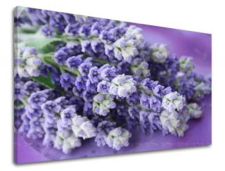 Obraz na stenu Zľava -15% KVETY XOBKV123E11 (Od 50€ Kuriér ZDARMA)