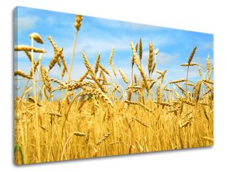 Obraz na stenu Zľava -15% RASTLINY RA015E11 (Od 50€ Kuriér ZDARMA)