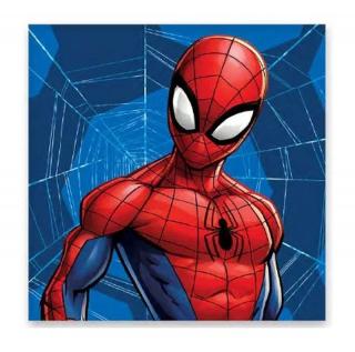 Detský uterák 30x30 SPIDERMAN pavučina