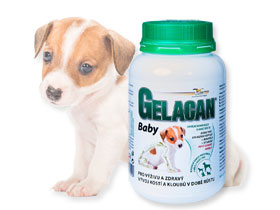 Gelacan Baby Hmotnosť: 500 g