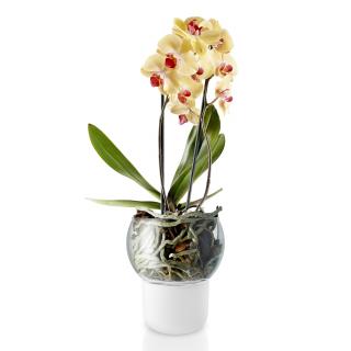 Samozavlažovací kvetináč 15 cm, pre orchidey, sklo, Eva Solo